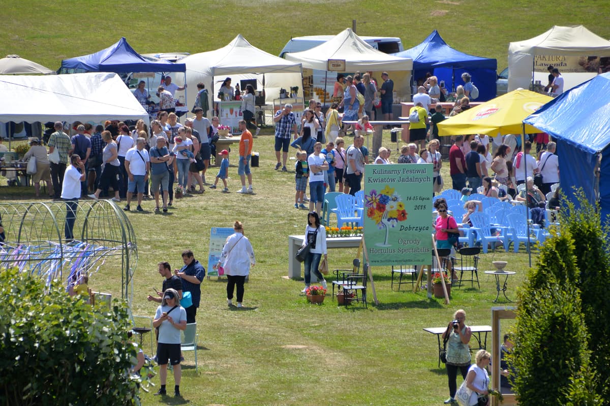 VIII Kulinarny Festiwal Kwiatów Jadalnych – pod patronatem WFOŚiGW w Szczecinie