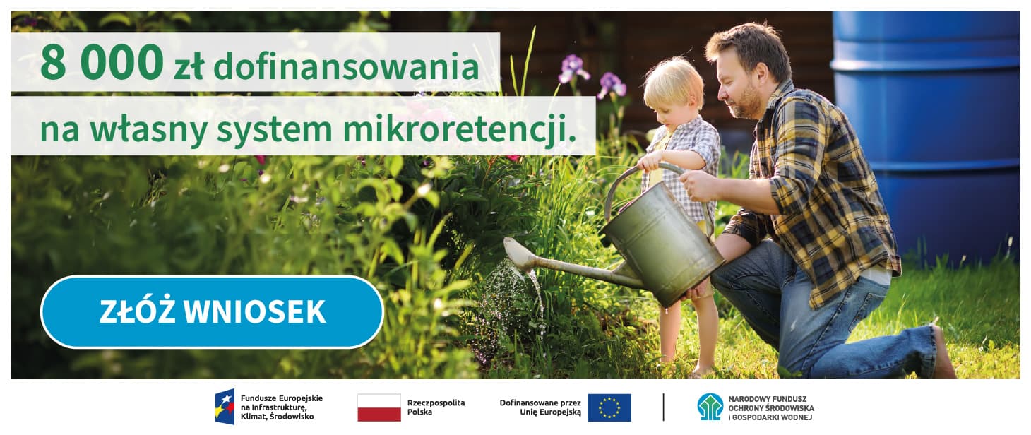 Ponad 5 mln zł na zbieranie deszczówki! Rusza nabór wniosków w programie Mikroretencja